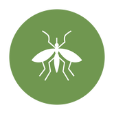 mosquito icon